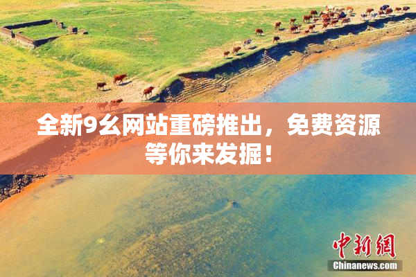 全新9幺网站重磅推出，免费资源等你来发掘！