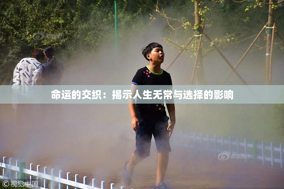 命运的交织：揭示人生无常与选择的影响