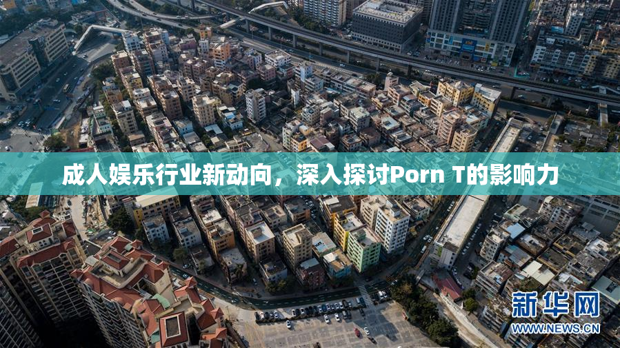 成人娱乐行业新动向，深入探讨Porn T的影响力