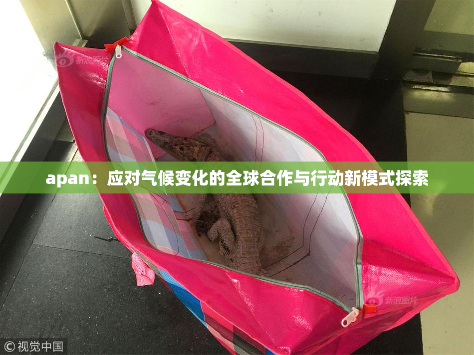 apan：应对气候变化的全球合作与行动新模式探索