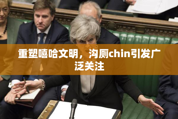 重塑嘻哈文明，沟厕chin引发广泛关注