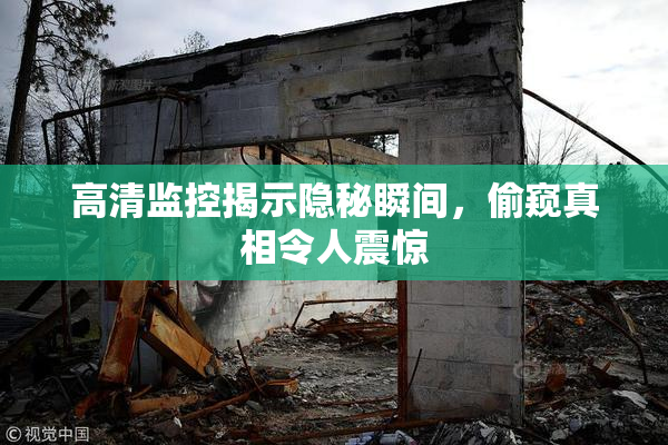 高清监控揭示隐秘瞬间，偷窥真相令人震惊