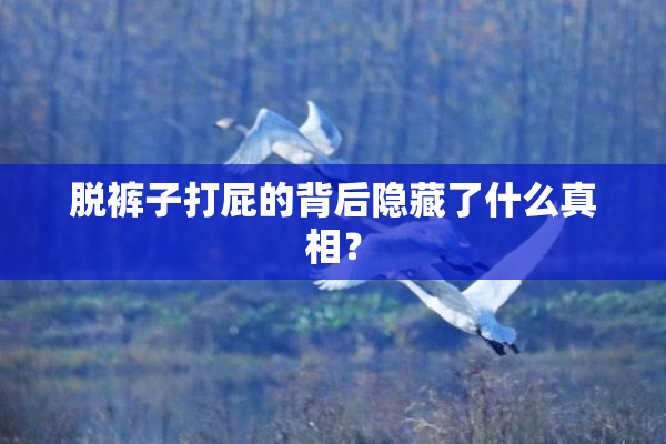 脱裤子打屁的背后隐藏了什么真相？