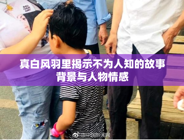 真白风羽里揭示不为人知的故事背景与人物情感