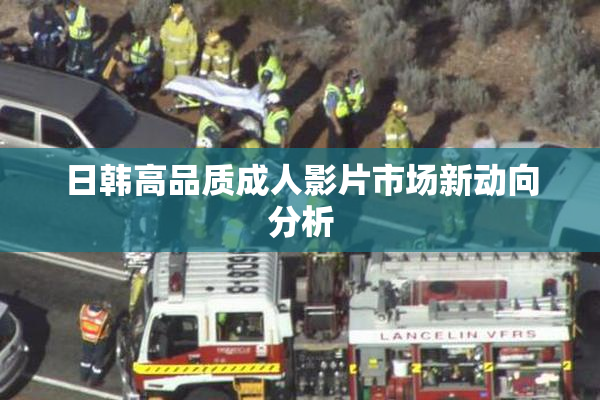 日韩高品质成人影片市场新动向分析