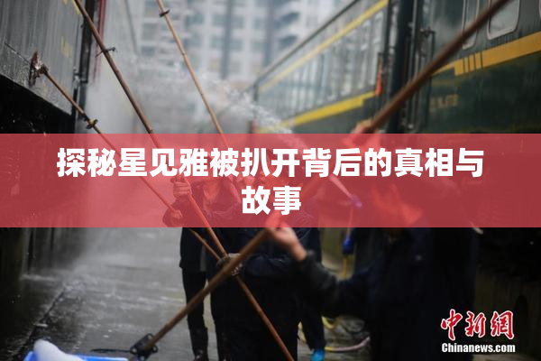 探秘星见雅被扒开背后的真相与故事