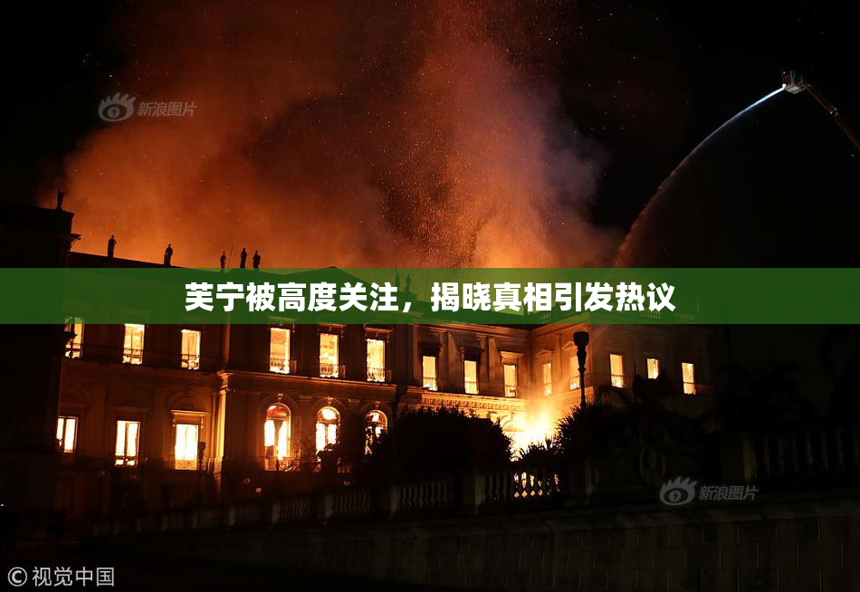 芙宁被高度关注，揭晓真相引发热议