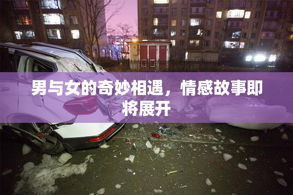 男与女的奇妙相遇，情感故事即将展开
