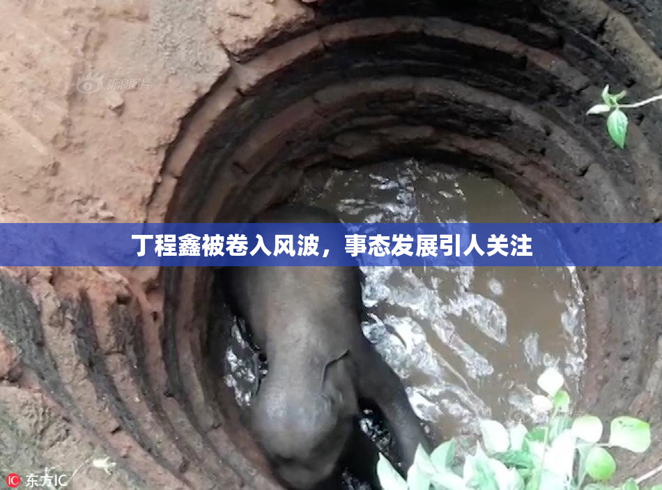 丁程鑫被卷入风波，事态发展引人关注