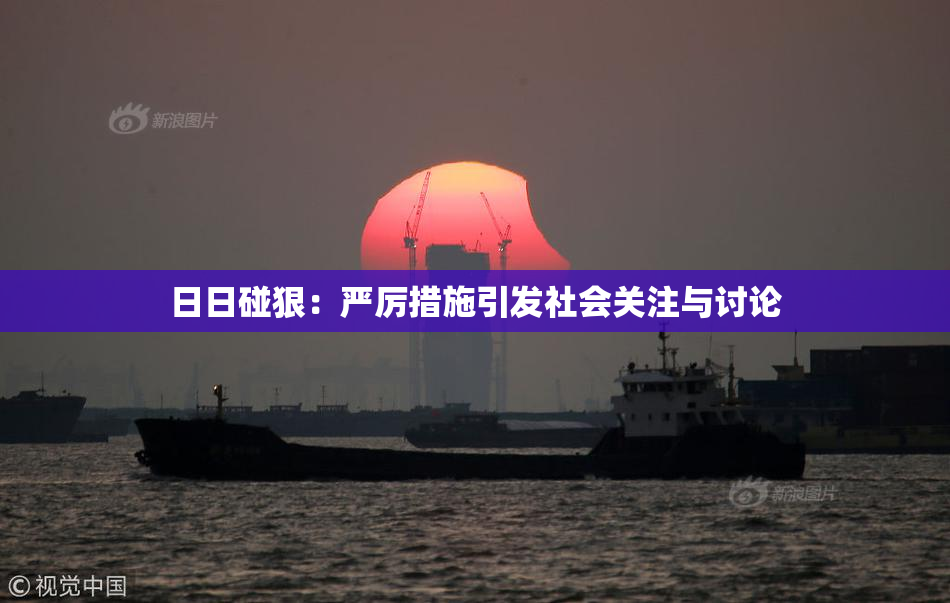 日日碰狠：严厉措施引发社会关注与讨论