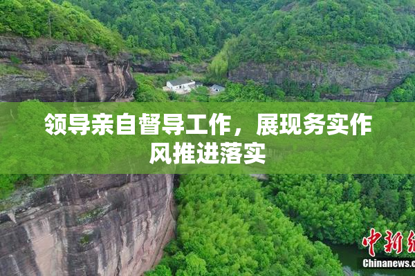领导亲自督导工作，展现务实作风推进落实