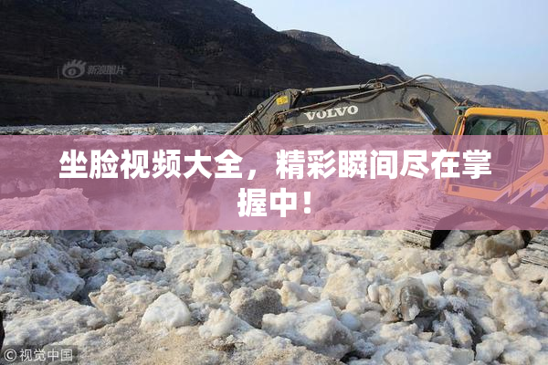 坐脸视频大全，精彩瞬间尽在掌握中！