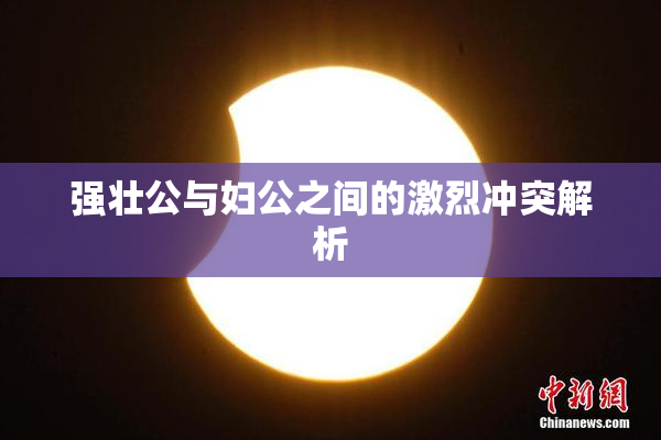 强壮公与妇公之间的激烈冲突解析