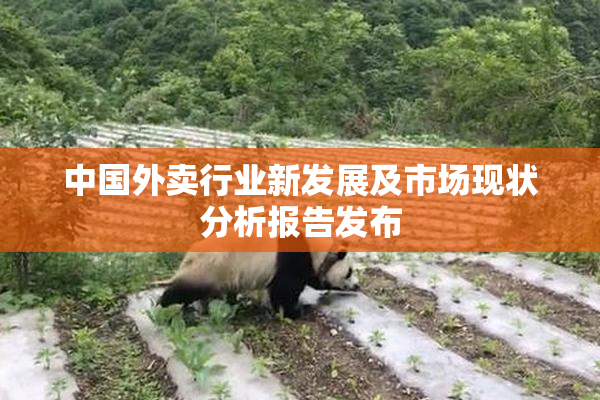中国外卖行业新发展及市场现状分析报告发布