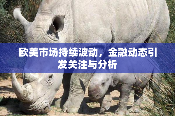 欧美市场持续波动，金融动态引发关注与分析