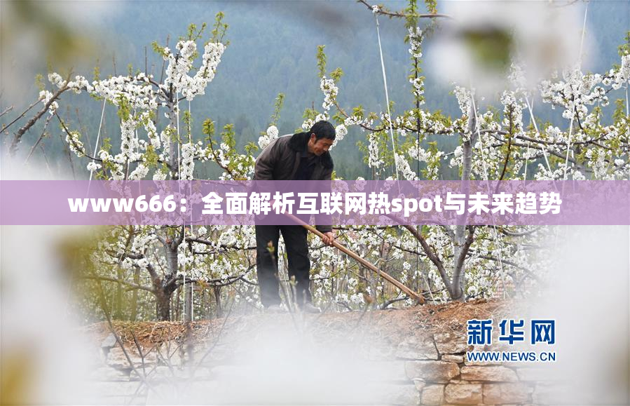 www666：全面解析互联网热spot与未来趋势