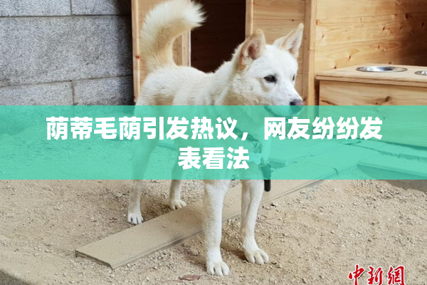 荫蒂毛荫引发热议，网友纷纷发表看法