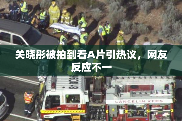 关晓彤被拍到看A片引热议，网友反应不一