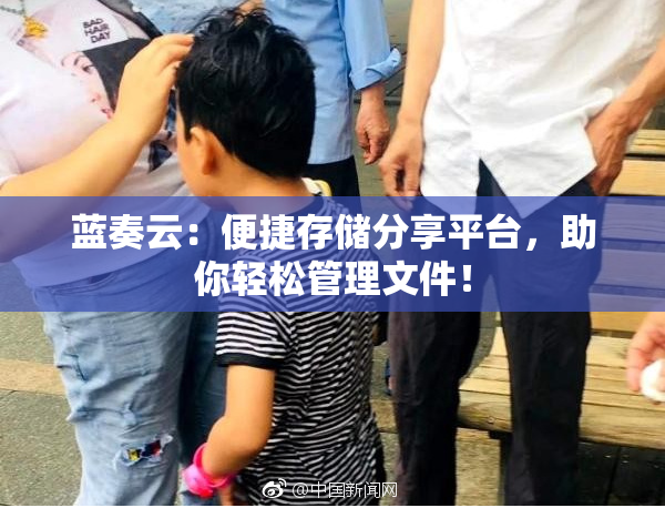 蓝奏云：便捷存储分享平台，助你轻松管理文件！