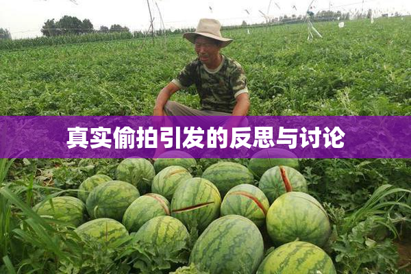 真实偷拍引发的反思与讨论