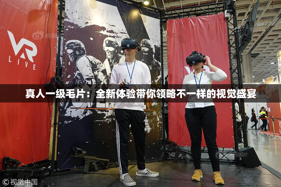 真人一级毛片：全新体验带你领略不一样的视觉盛宴