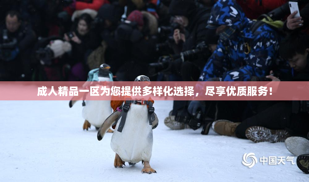 成人精品一区为您提供多样化选择，尽享优质服务！