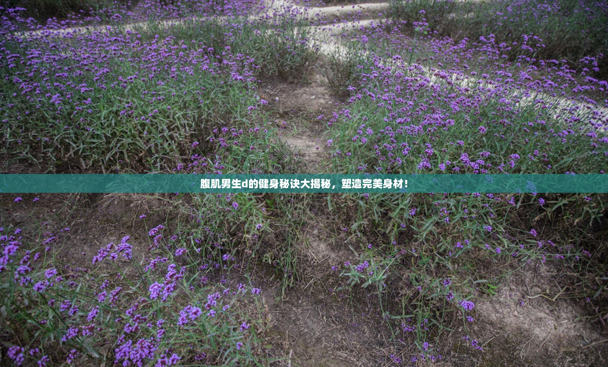 腹肌男生d的健身秘诀大揭秘，塑造完美身材！
