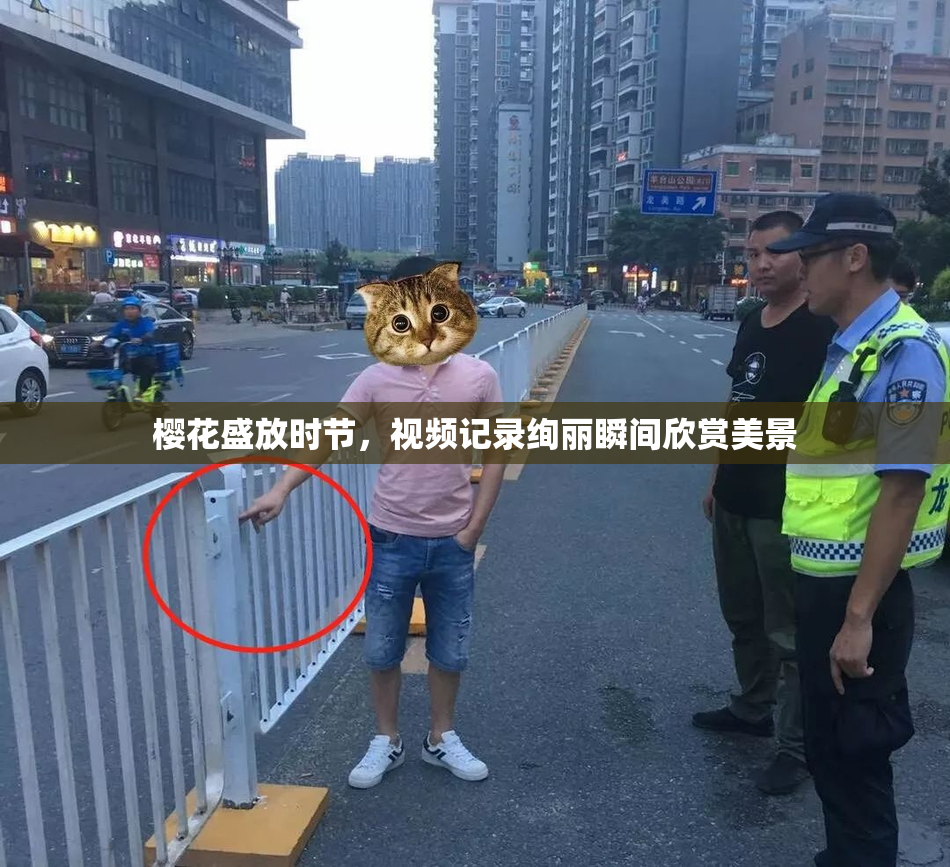 樱花盛放时节，视频记录绚丽瞬间欣赏美景