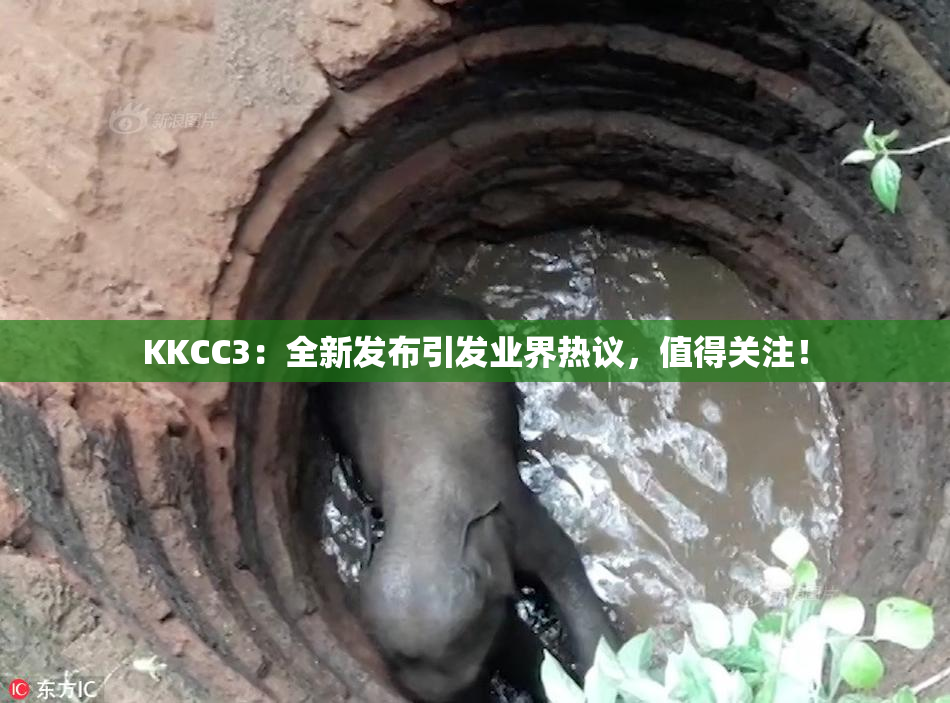 KKCC3：全新发布引发业界热议，值得关注！