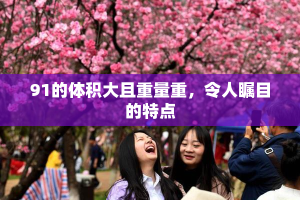 91的体积大且重量重，令人瞩目的特点