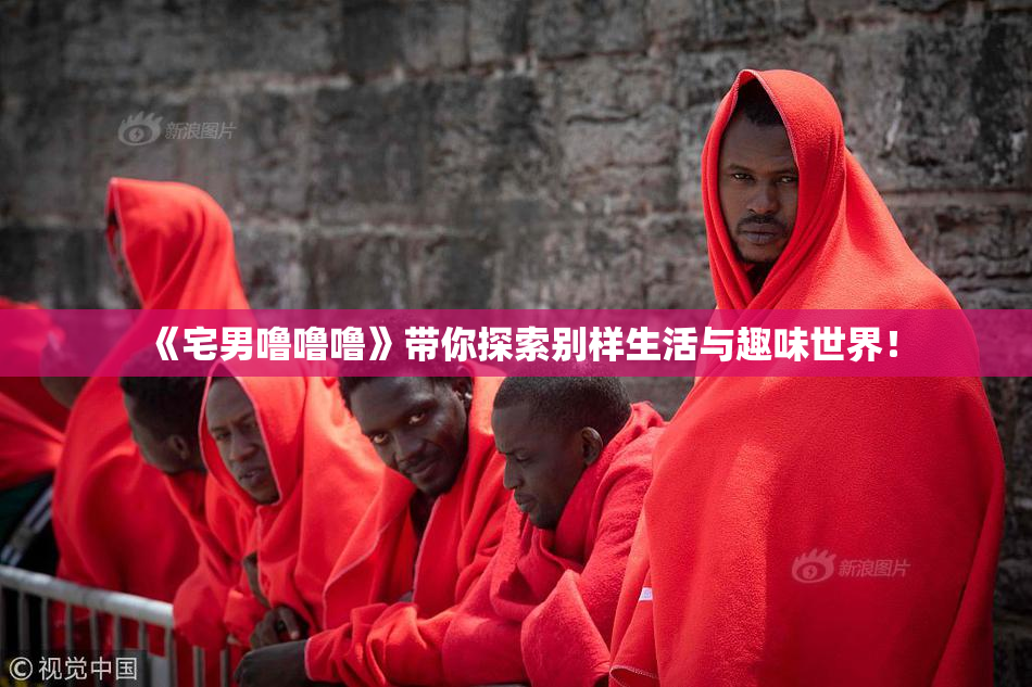 《宅男噜噜噜》带你探索别样生活与趣味世界！