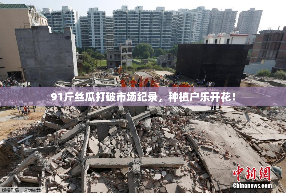 91斤丝瓜打破市场纪录，种植户乐开花！