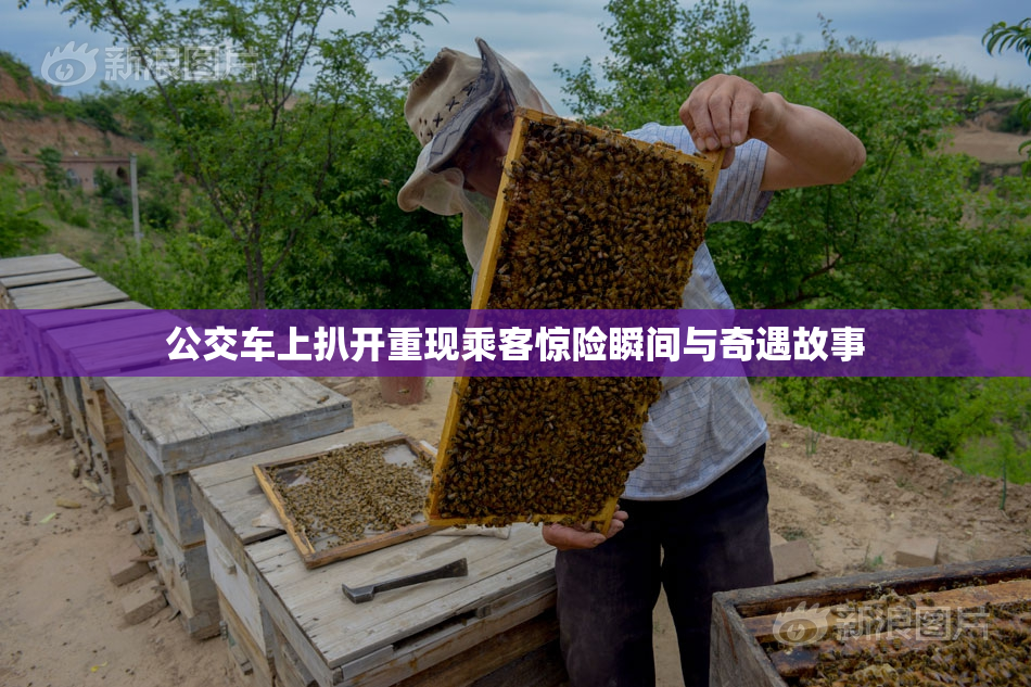 公交车上扒开重现乘客惊险瞬间与奇遇故事