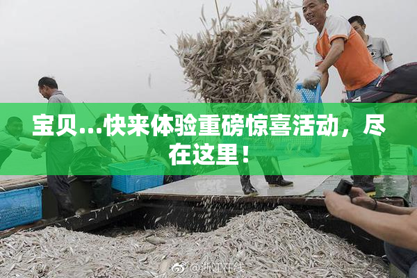 宝贝…快来体验重磅惊喜活动，尽在这里！