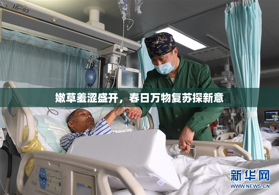 嫩草羞涩盛开，春日万物复苏探新意