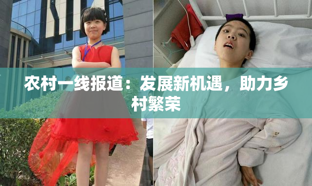 农村一线报道：发展新机遇，助力乡村繁荣