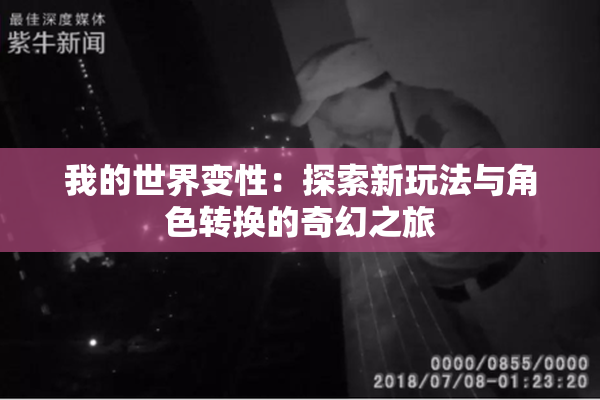 我的世界变性：探索新玩法与角色转换的奇幻之旅