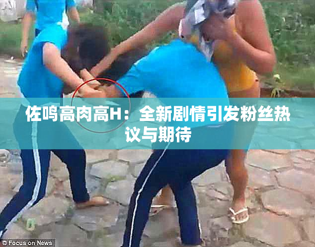 佐鸣高肉高H：全新剧情引发粉丝热议与期待