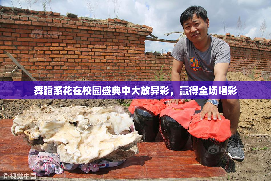 舞蹈系花在校园盛典中大放异彩，赢得全场喝彩