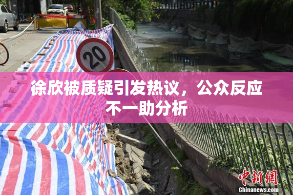 徐欣被质疑引发热议，公众反应不一助分析