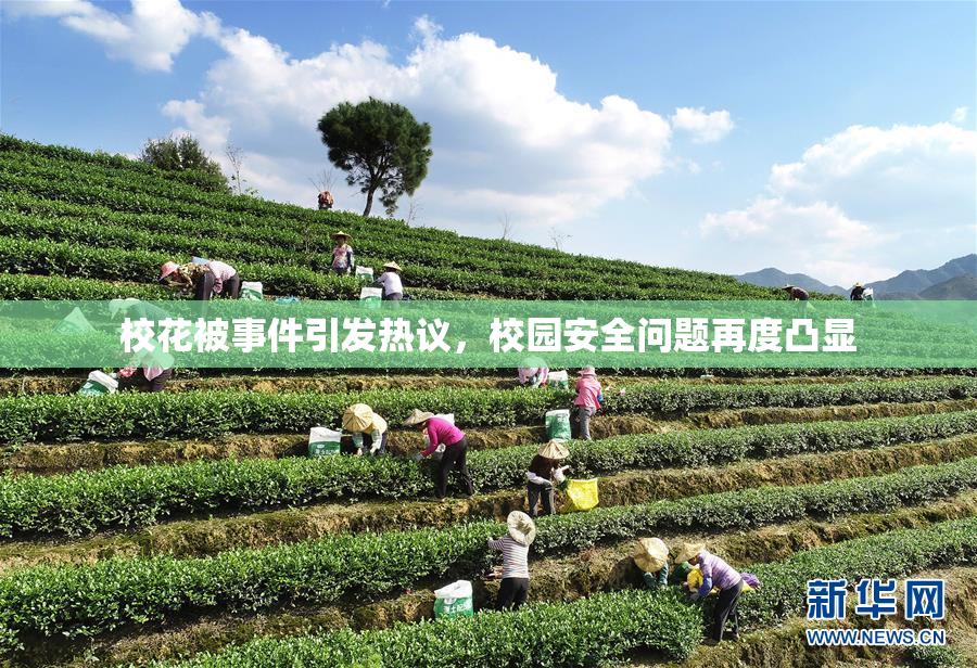 校花被事件引发热议，校园安全问题再度凸显