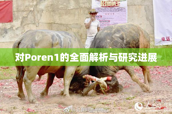 对Poren1的全面解析与研究进展