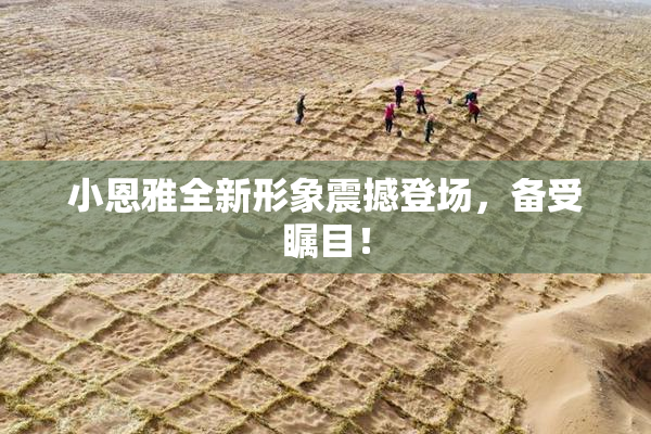小恩雅全新形象震撼登场，备受瞩目！