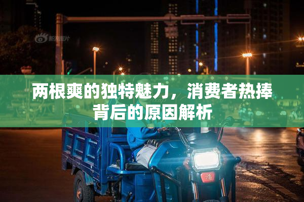 两根爽的独特魅力，消费者热捧背后的原因解析