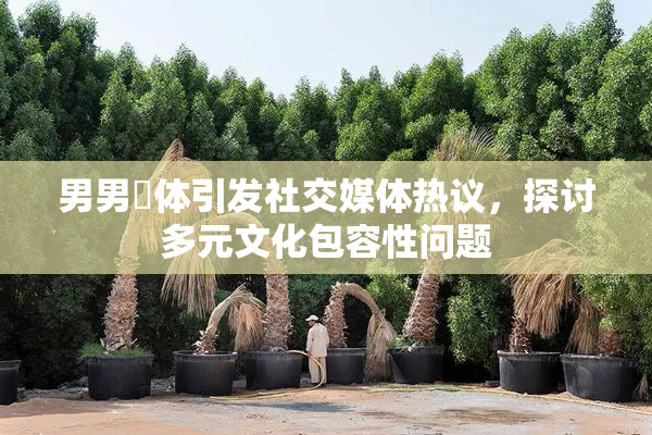 男男祼体引发社交媒体热议，探讨多元文化包容性问题