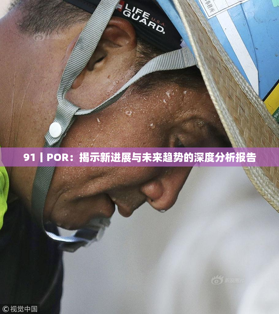 91丨POR：揭示新进展与未来趋势的深度分析报告