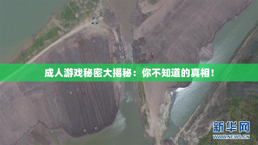 成人游戏秘密大揭秘：你不知道的真相！