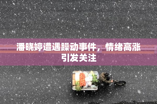 潘晓婷遭遇躁动事件，情绪高涨引发关注