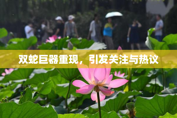 双蛇巨器重现，引发关注与热议