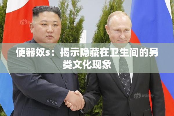 便器奴s：揭示隐藏在卫生间的另类文化现象